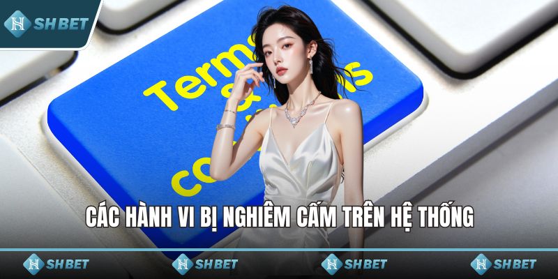Các hành vi bị nghiêm cấm trên hệ thống