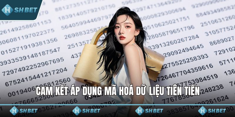 Cam kết áp dụng mã hoá dữ liệu tiên tiến