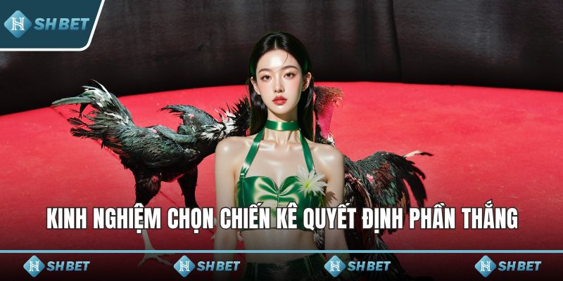 Kinh nghiệm chọn chiến kê quyết định phần thắng