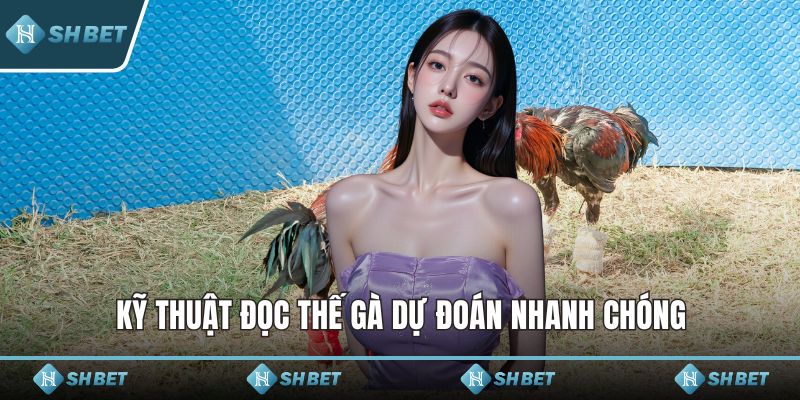 Kỹ thuật đọc thế gà dự đoán nhanh chóng