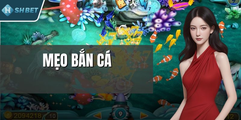 Mẹo Bắn Cá Giúp Người Chơi Tăng Tỷ Lệ Thắng Hấp Dẫn