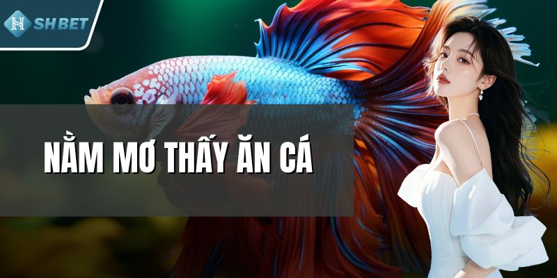 Nằm Mơ Thấy Ăn Cá - Dấu Hiệu May Mắn Bất Ngờ Đang Đến