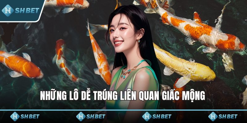 Những lô dễ trúng liên quan giấc mộng