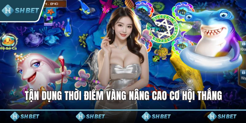 Tận dụng thời điểm vàng nâng cao cơ hội thắng