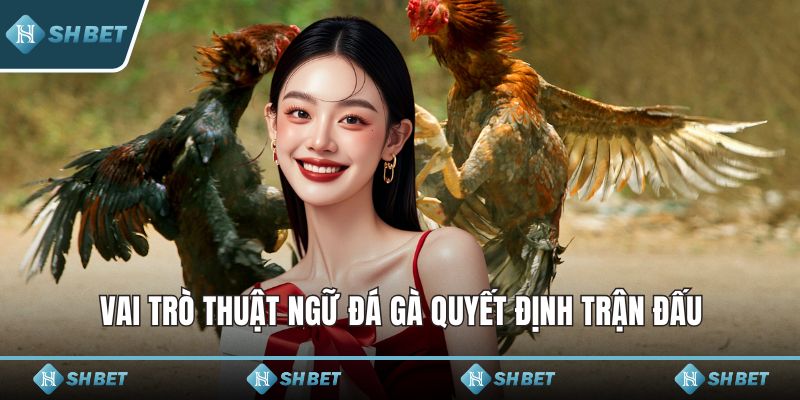 Vai trò thuật ngữ đá gà quyết định trận đấu