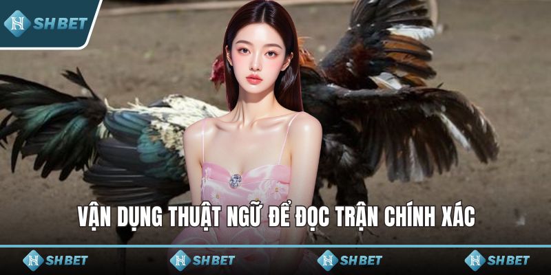 Vận dụng thuật ngữ để đọc trận chính xác