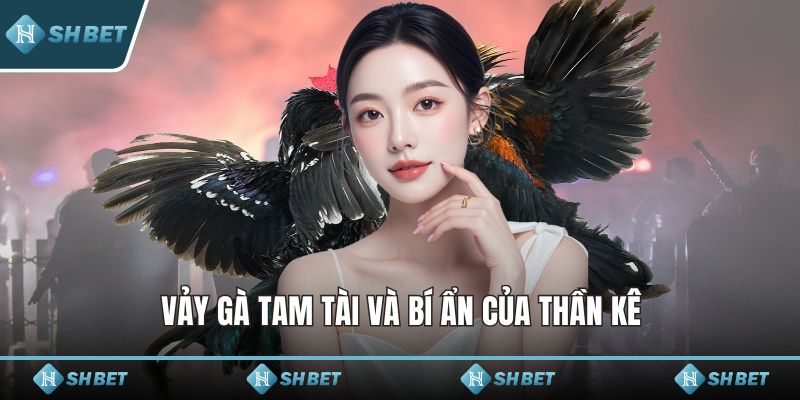 Vảy gà tam tài và bí ẩn của thần kê