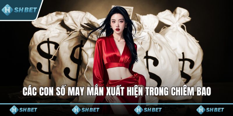 Các con số may mắn xuất hiện trong chiêm bao